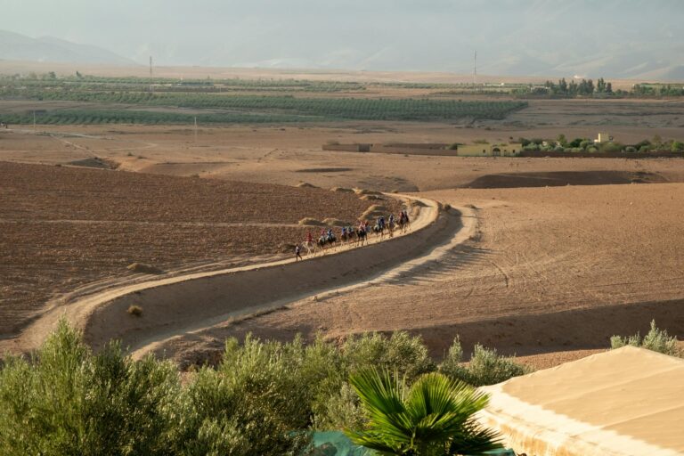 A stunning view of a camel caravan traversing the Marrakesh desert landscape in Morocco.