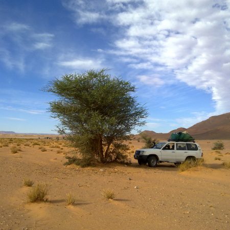 4 Day Tour from Marrakech to Fes